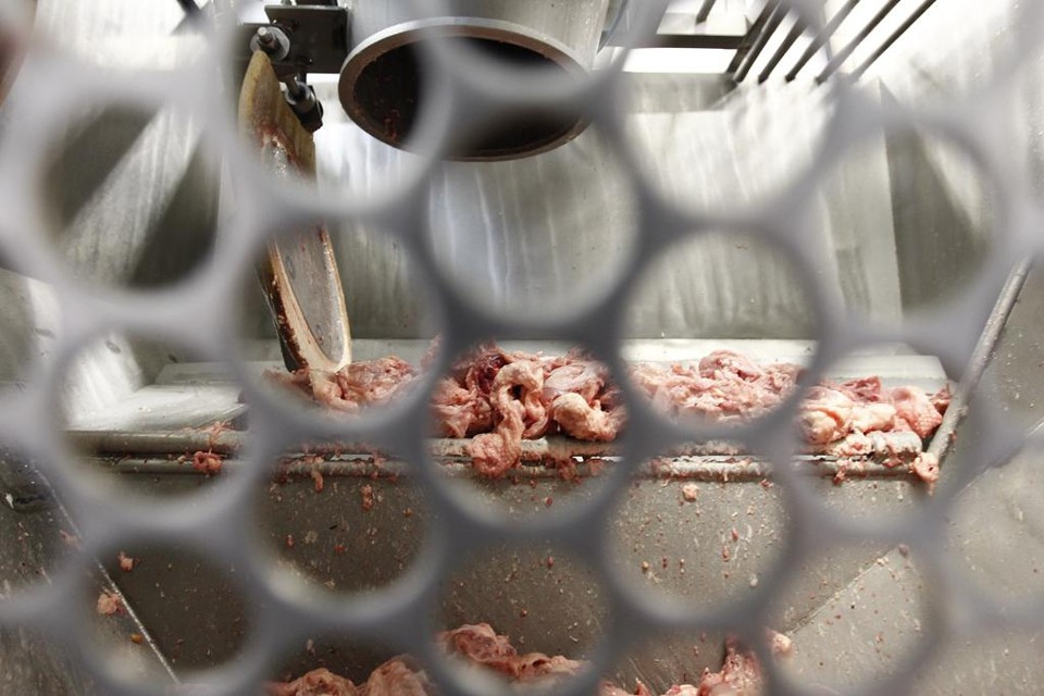 Após escândalo, fiscalização agropecuária do Paraná já tem um interventor Além do Paraná, Goiás também terá um interventor na fiscalização. | Jonathan Campos/Gazeta do Povo