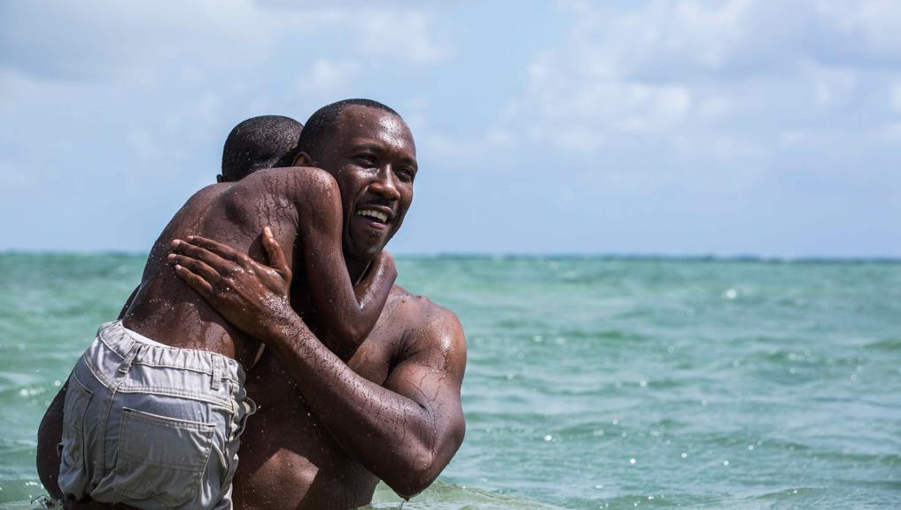 Além de Moonlight, ganhador da estatueta de melhor filme, outros três títulos serão disponibilizados neste semestre. | David Bornfriend/