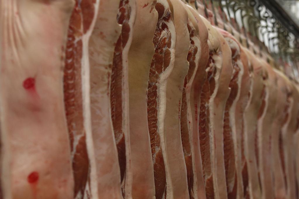  | Jonathan Campos /Gazeta do Povo