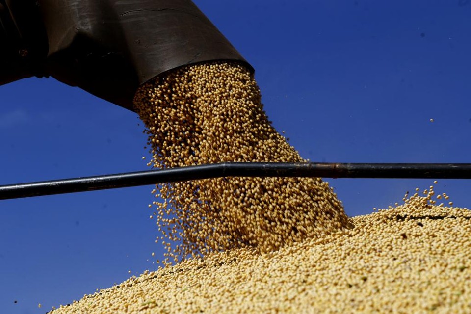 No campo, rendimento das lavouras gera otimismo, mas preços têm deixado  produtores preocupados. | Pedro Serapio/Gazeta do Povo