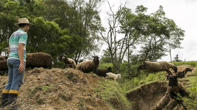 Nova mudança na reforma da Previdência atingirá os trabalhadores rurais, que podem ter direito a uma aposentadoria diferenciada. | Marcelo Andrade/Gazeta do Povo