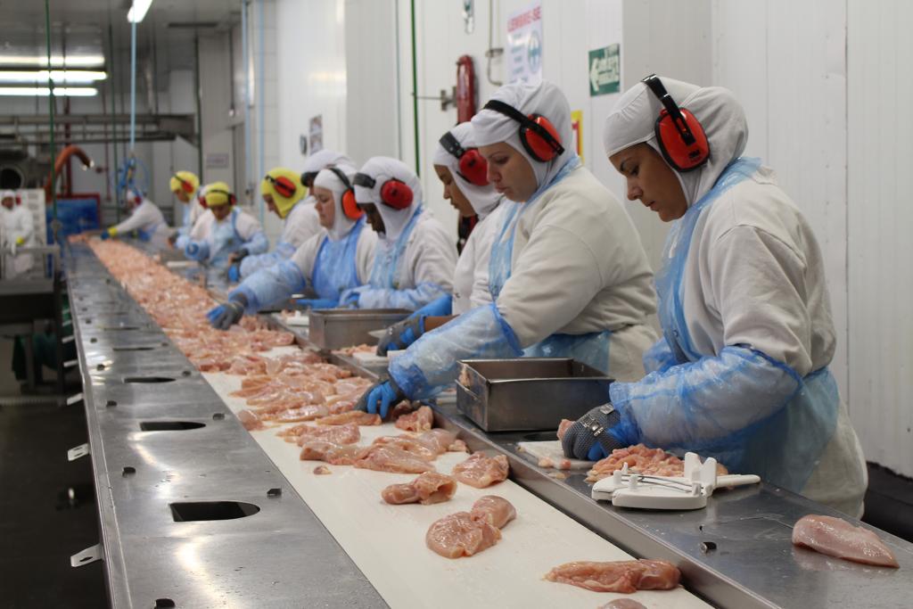 Das 4,8 mil unidades de processamento animal, apenas 21 foram envolvidas em irregularidades. | Divulgação/MPT