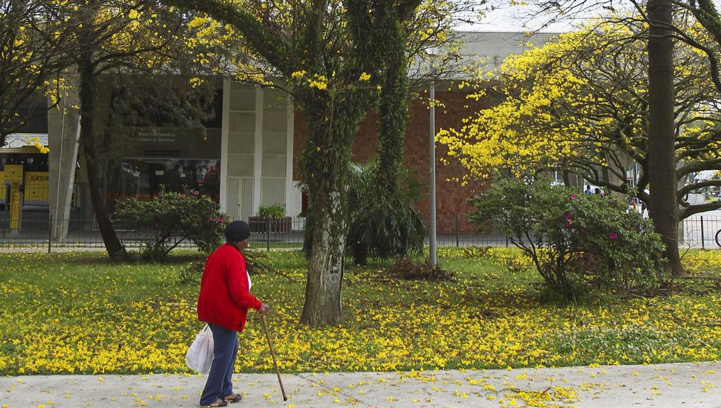 Outono começa a apresentar as menores mínimas nas temperaturas de Curitiba | Daniel Castellano/Gazeta do Povo