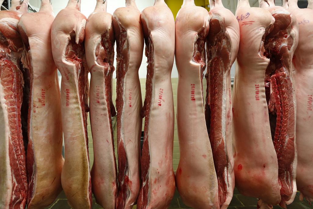 Conversa interceptada pela PF na operação Carne Fraca flagrou diálogo suspeito entre executivos da BRF. | Jonathan Campos/Gazeta do Povo