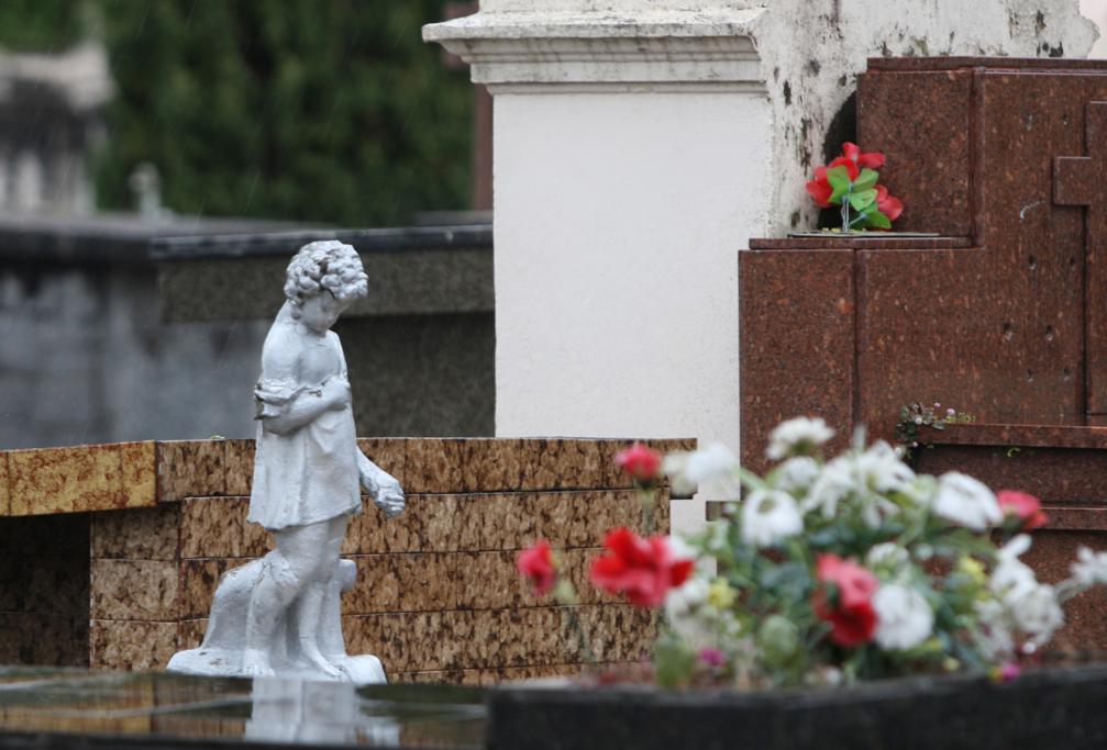 | Aniele Nascimento/Gazeta do Povo/Arquivo