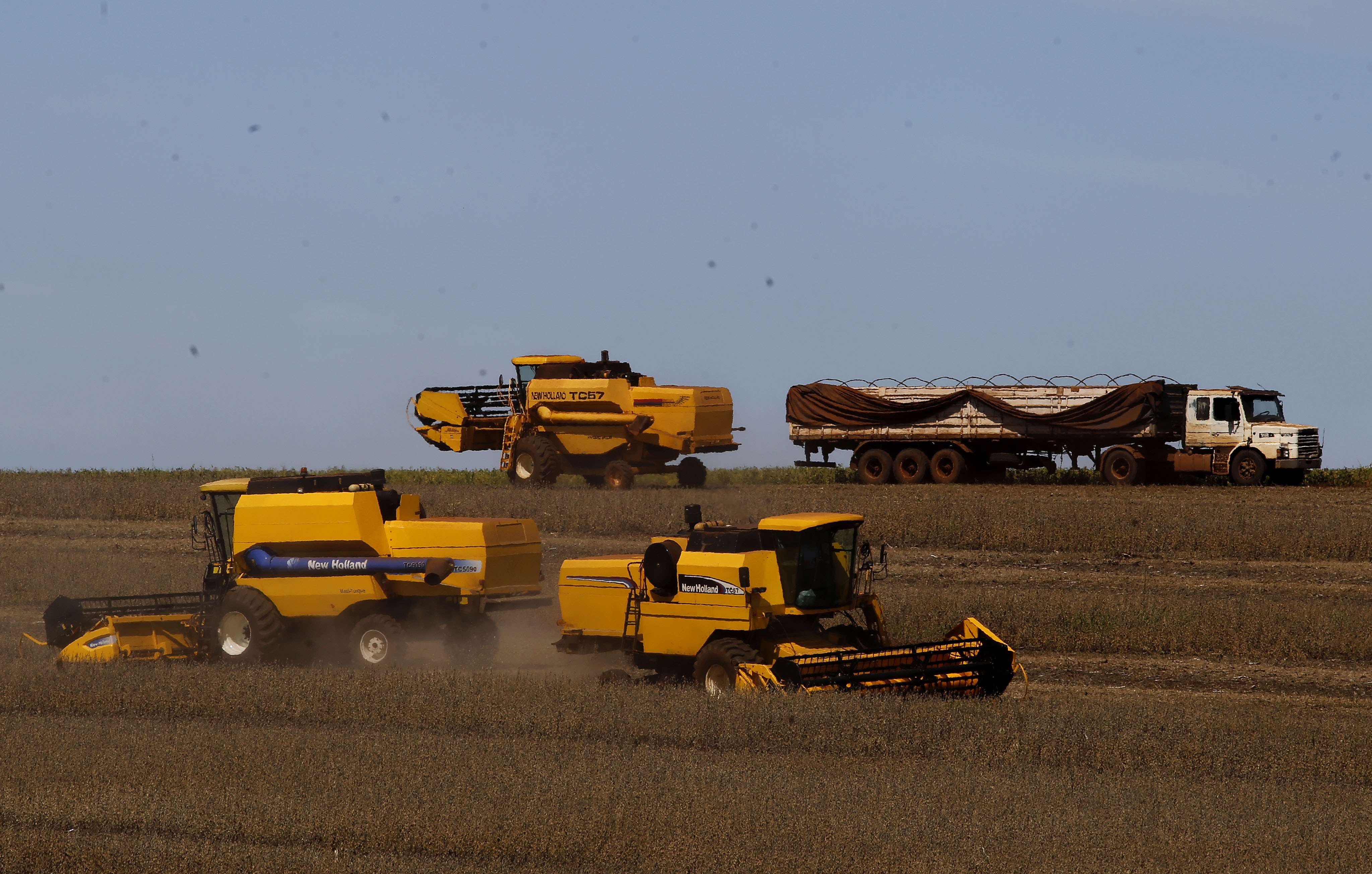 | Pedro Serapio/Gazeta do Povo