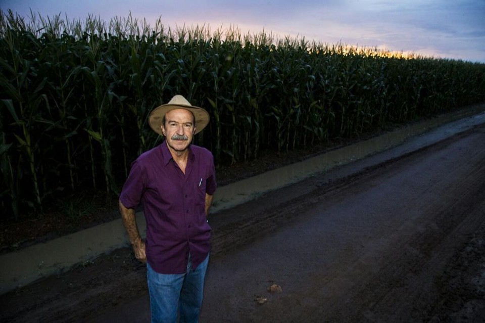 O presidente do Sindicato Rural de Balsas, Jorge Vieira Salib, conta que o motivo de dedicar tanta área ao milho verão é um só. “Nós produzimos aqui o melhor milho, eu diria que do mundo.” | Lineu Filho/Gazeta do Povo
