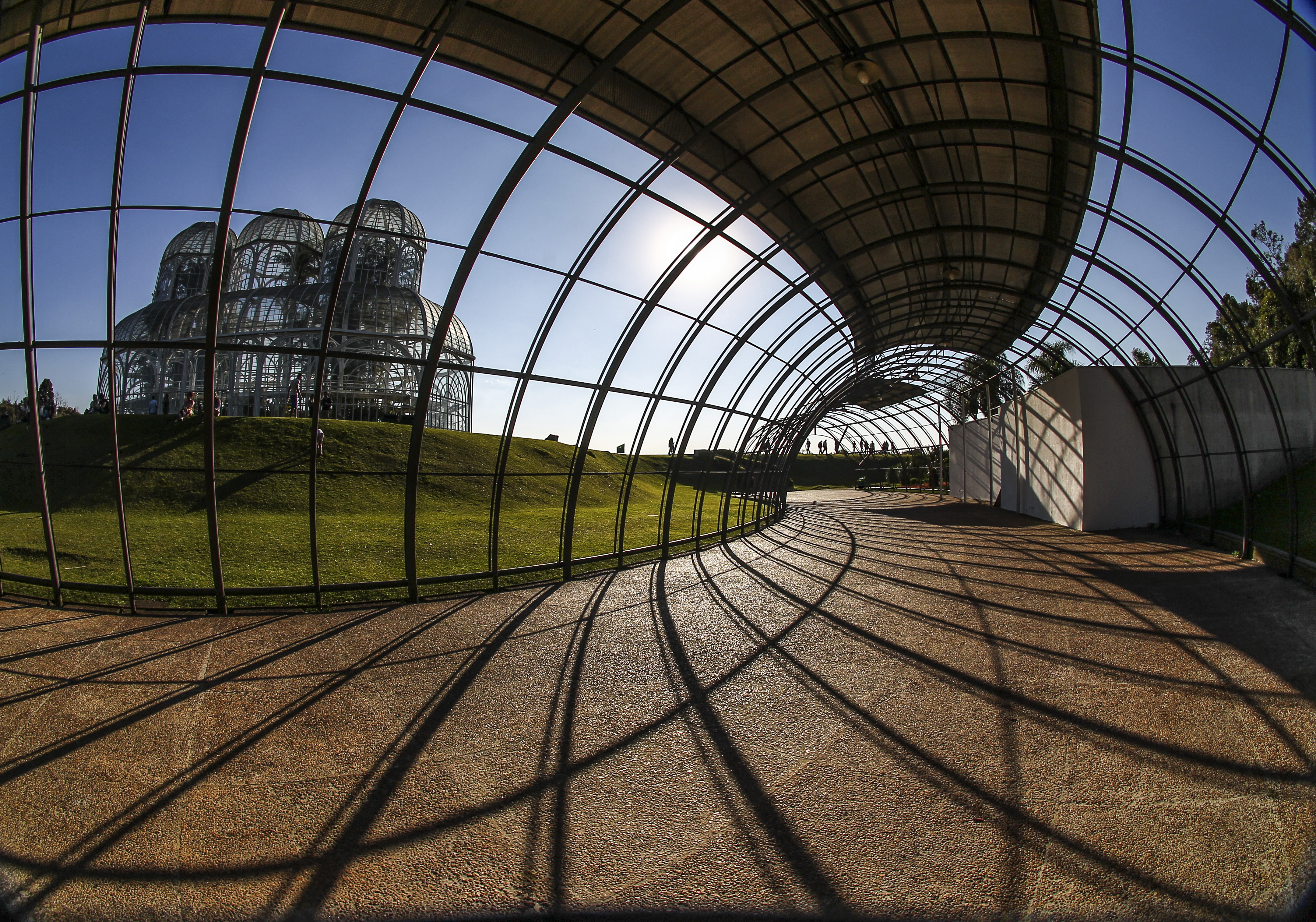 Jardim Botânico, em Curitiba; dia ensolarado é propício para visitas ao ponto turístico | Daniel Castellano/Gazeta do Povo