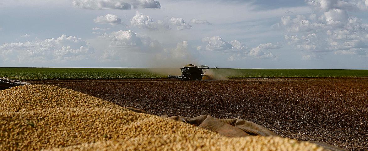 Uma das apostas para manter o equilíbrio entre oferta e demanda era a recuperação do consumo e produção de proteína no país. | Gazeta do Povo/