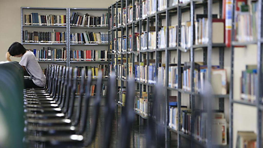 “Ler porque a escola obriga, com a exigência do vestibular, é ruim. O novo leitor só se entusiasma se aquilo fizer sentido pra ele”, diz Flávio Stein, especialista em processos de leitura | Albari Rosa/Gazeta do Povo