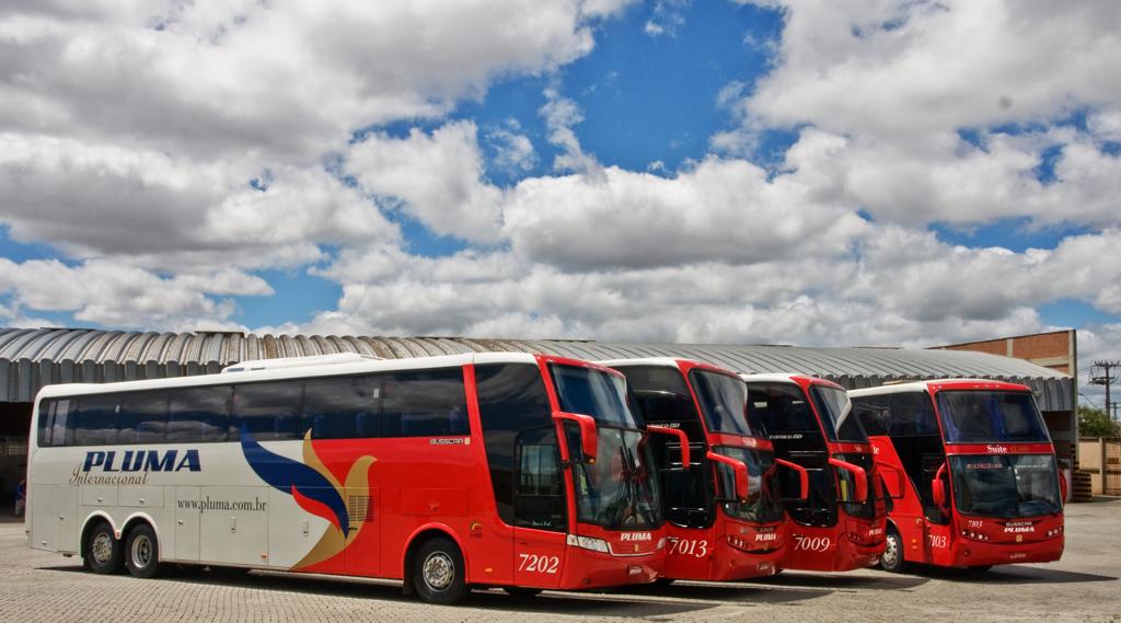 Alguns ônibus da Pluma | Divulgação/Pluma
