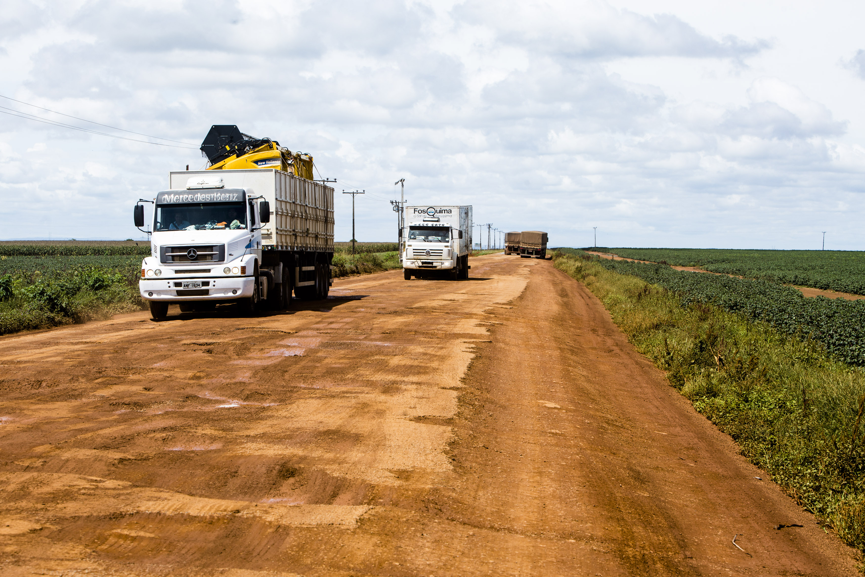 | Lineu Filho/Gazeta do Povo