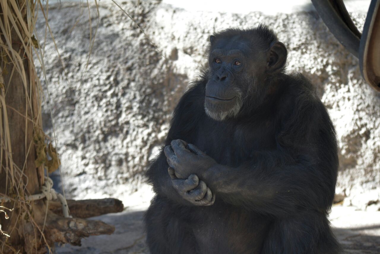| Divulgação/Governo da Província de Mendoza