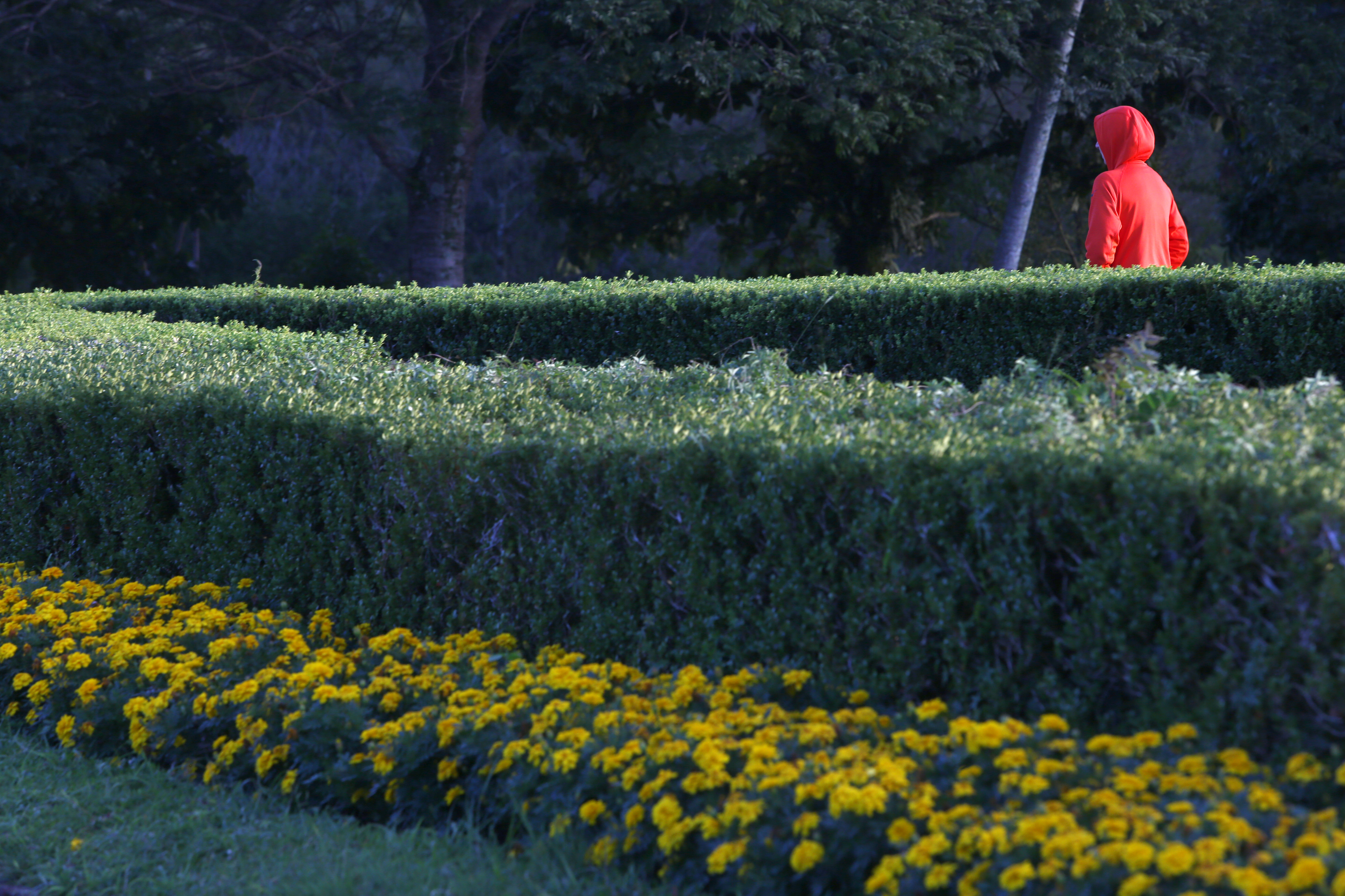 | Aniele Nascimento/Gazeta do Povo