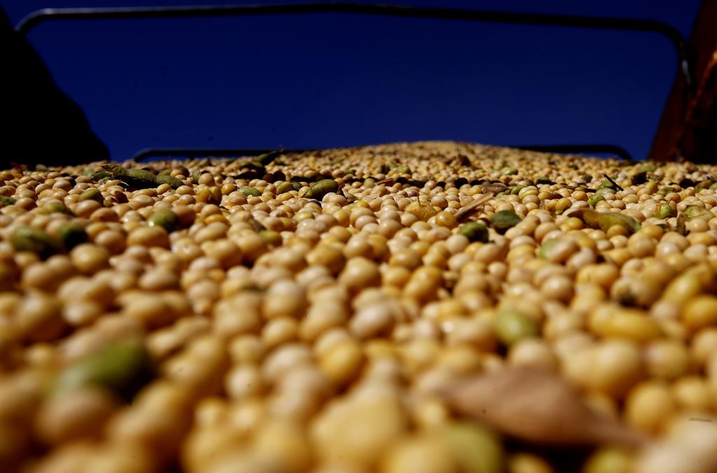 | Pedro Serapio/Gazeta do Povo