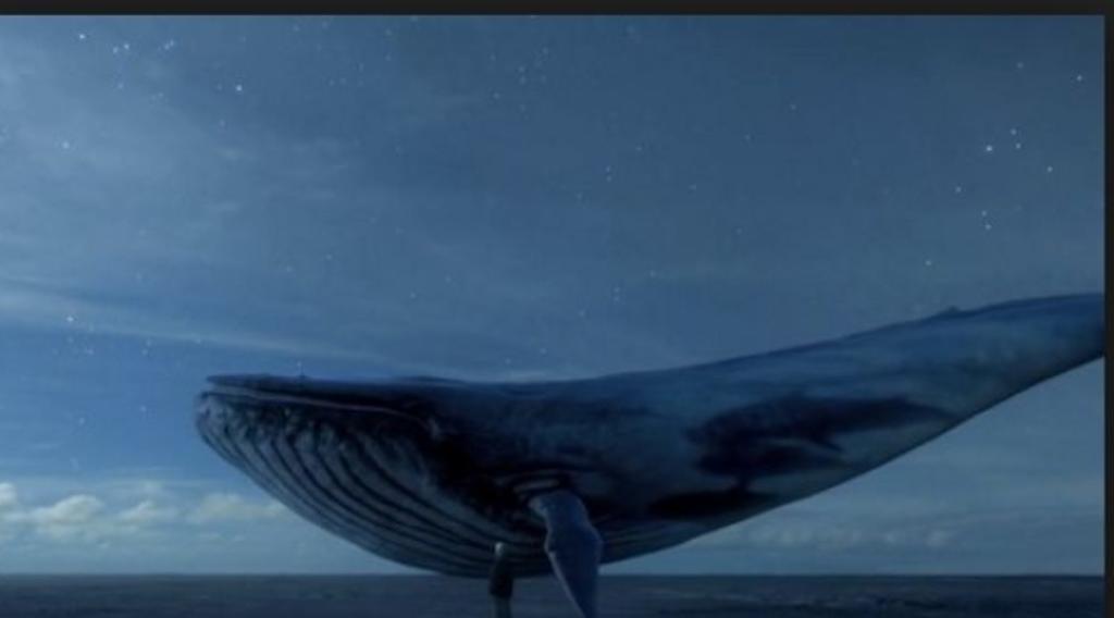 Baleia Azul: jogo que preocupa pais brasileiros tem raízes na Rússia | /