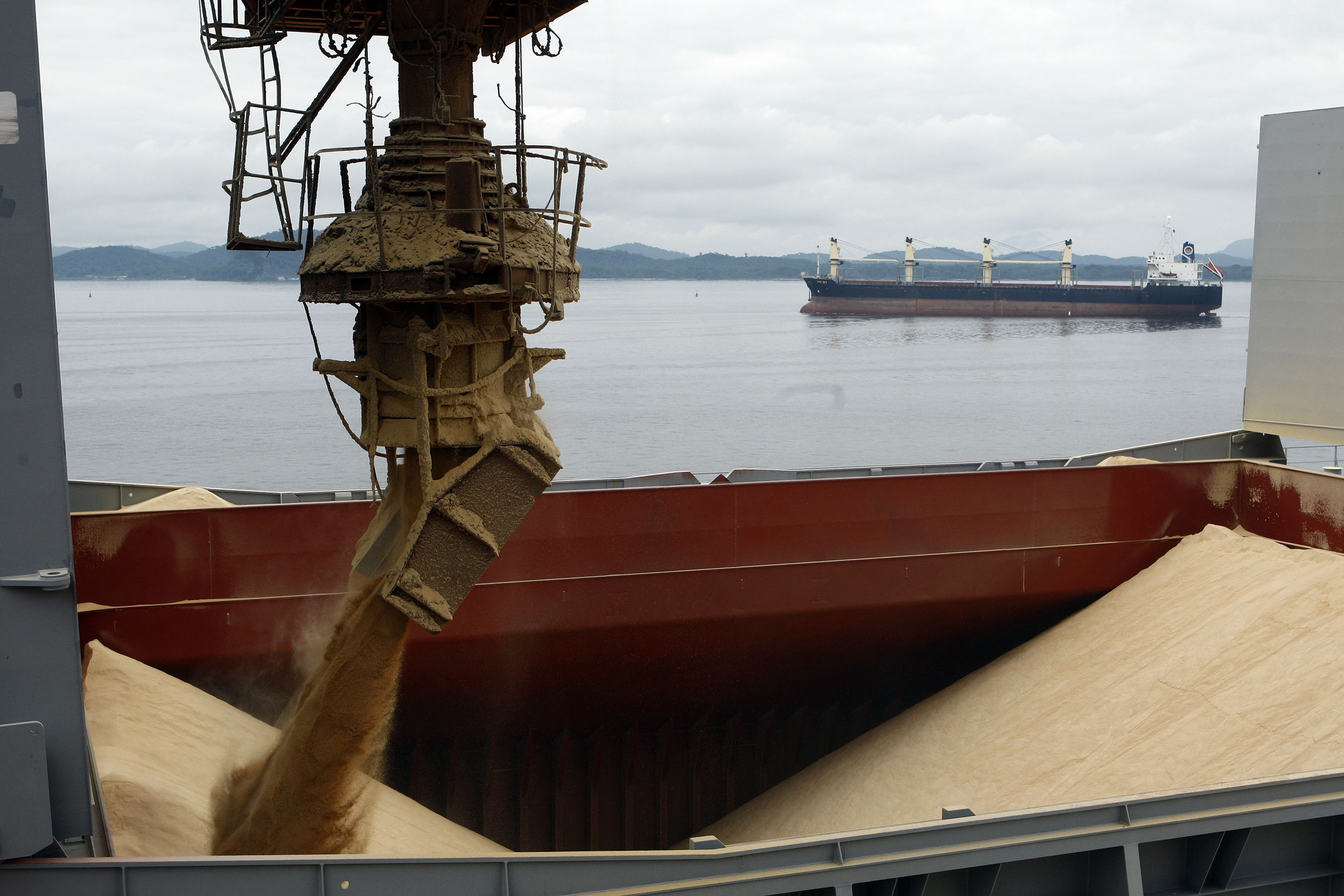 Companhia culpa cotação da soja e do milho pelos problemas. Empresa não tem ligação com a Seara Alimentos, da JBS. | Henry Milléo/ Gazeta do Povo