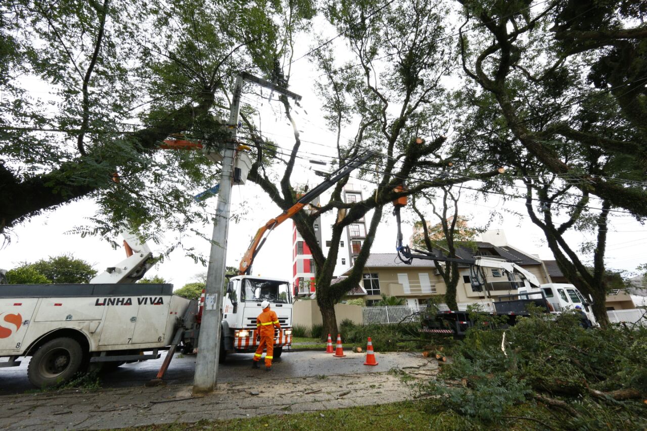 | Aniela Nascimento/Gazeta do Povo