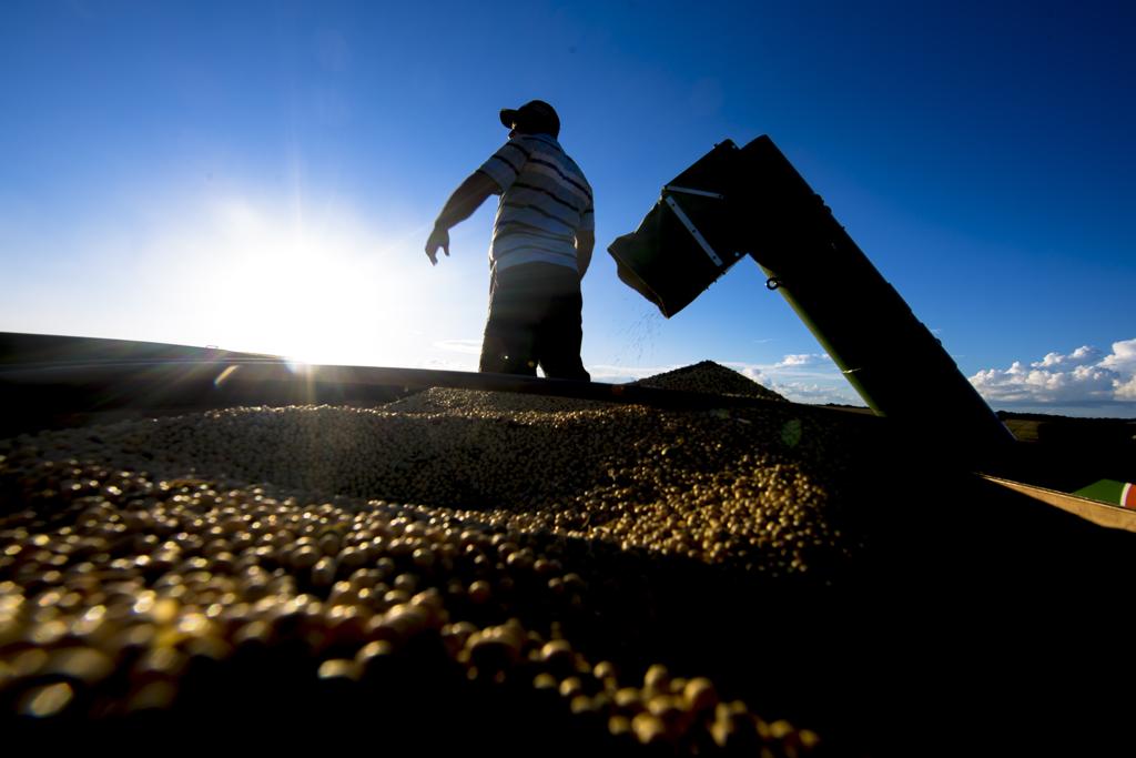 Com a oleaginosa vinda da América do Sul entrando no mercado, Chicago pode não ser capaz de se sustentar acima de US$ 9/bushel. | Lineu Filho/Gazeta do Povo