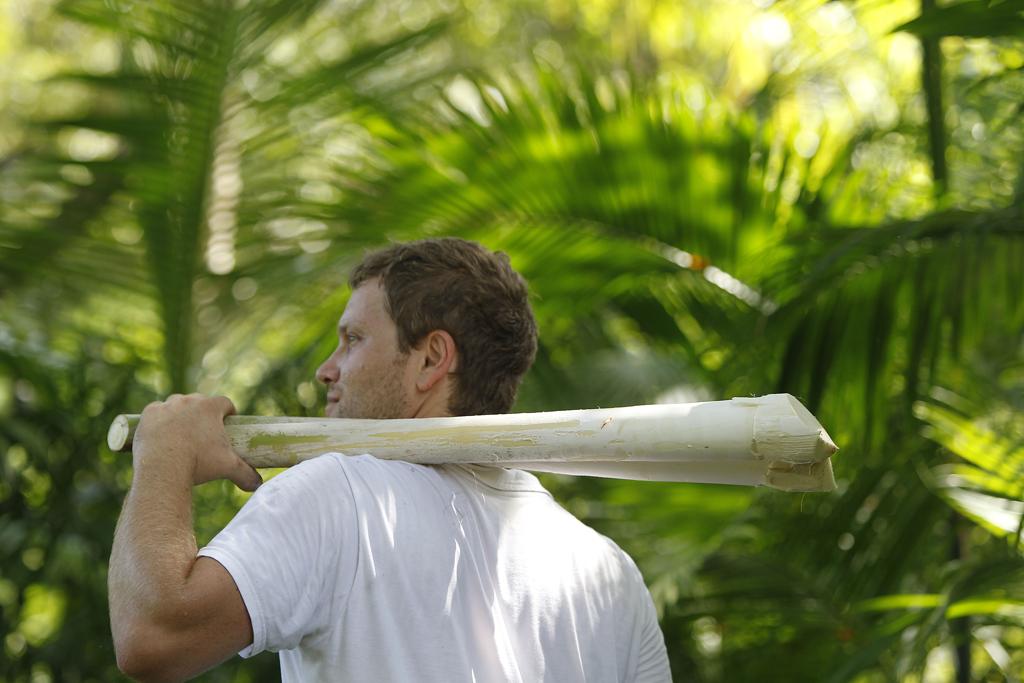 Hoje, são 650 famílias que vivem do cultivo na costa paranaense. | Jonathan Campos/Gazeta do Povo