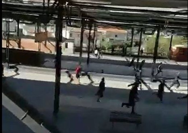 | /Reprodução