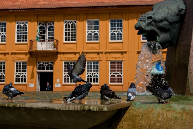 Estatua do “cavalo babão”, no Largo da Ordem. | Henry Milléo / Gazeta do Povo