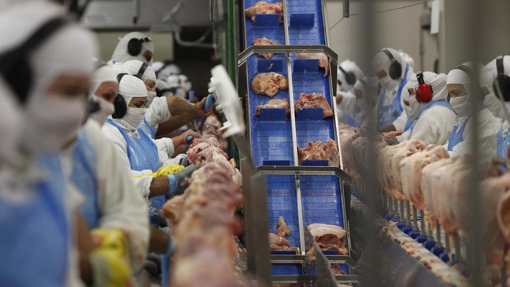 | JONATHAN CAMPOS/Gazeta do Povo