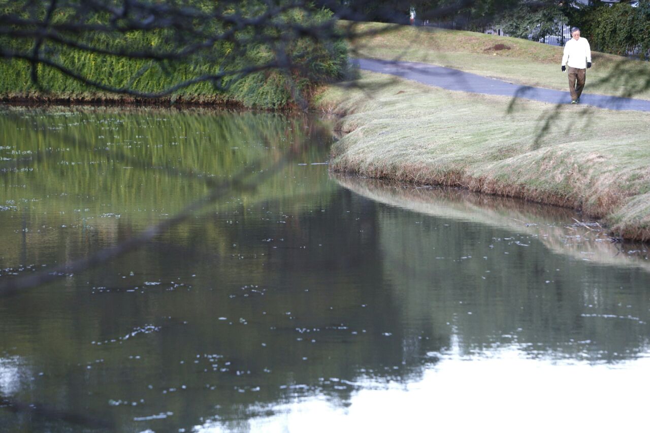 Manhã gelada nesta quinta-feira, no Jardim Botânico | Aniele Nascimento/Gazeta do Povo