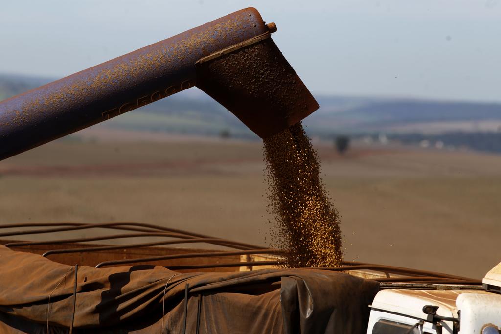 Frustração na safra do ano passado e exposição da empresa aos preços de soja e milho ajudam a entender cenário desfavorável vivido pela empresa. | Pedro Serapio/Gazeta do Povo