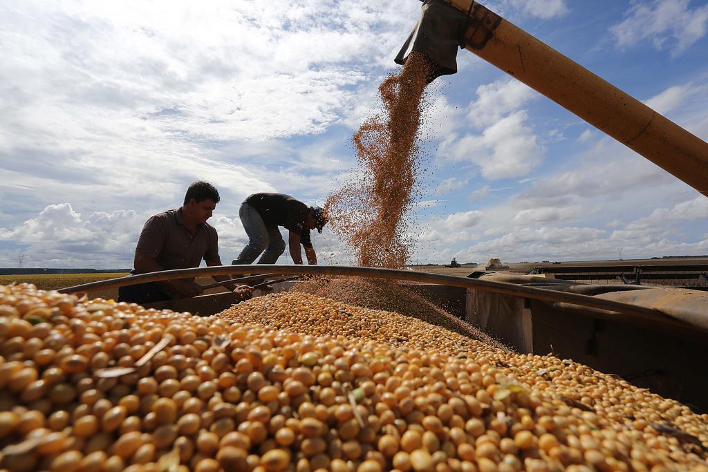 Expectativa é que a formalização do trabalho no meio rural, um problema que atinge quase 40% dos mais de 230 mil funcionários (dados do IBGE) da agropecuária, diminua. | Jonathan Campos/Gazeta do Povo