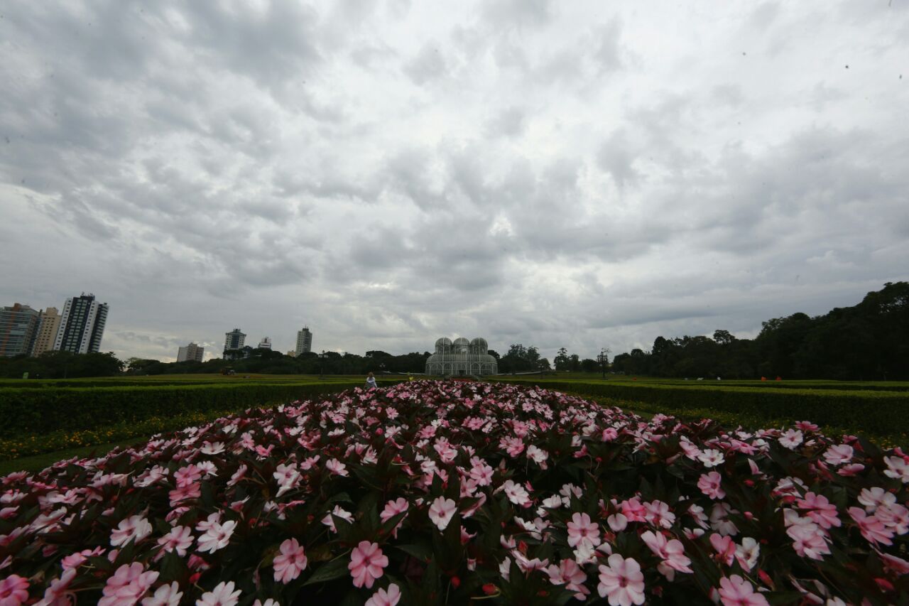 Curitiba nesta quarta-feira: céu nublado e chuvas na previsão do tempo | Aniele Nascimento/