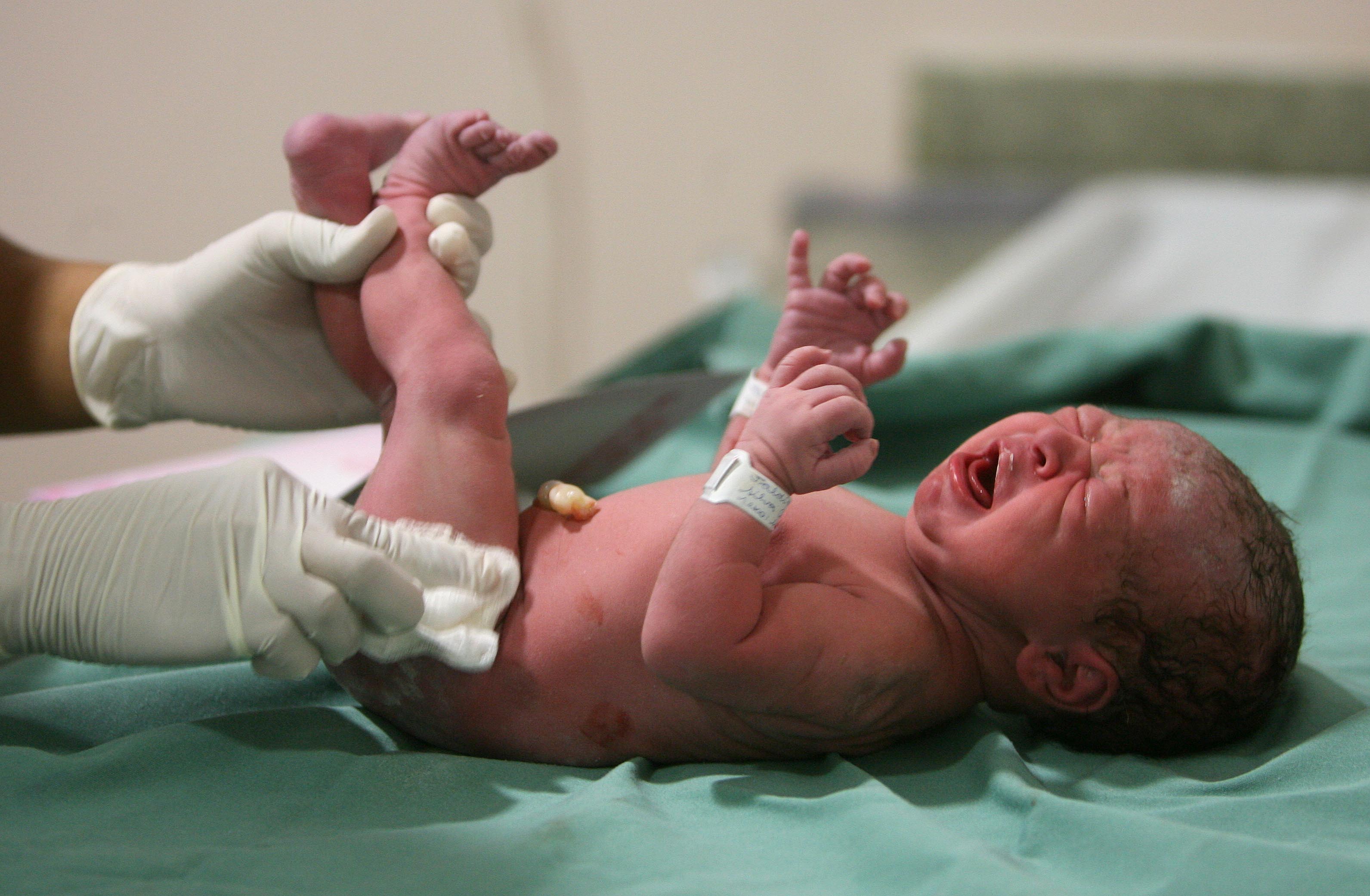 | Rodolfo Buhrer/Arquivo Gazeta do Povo