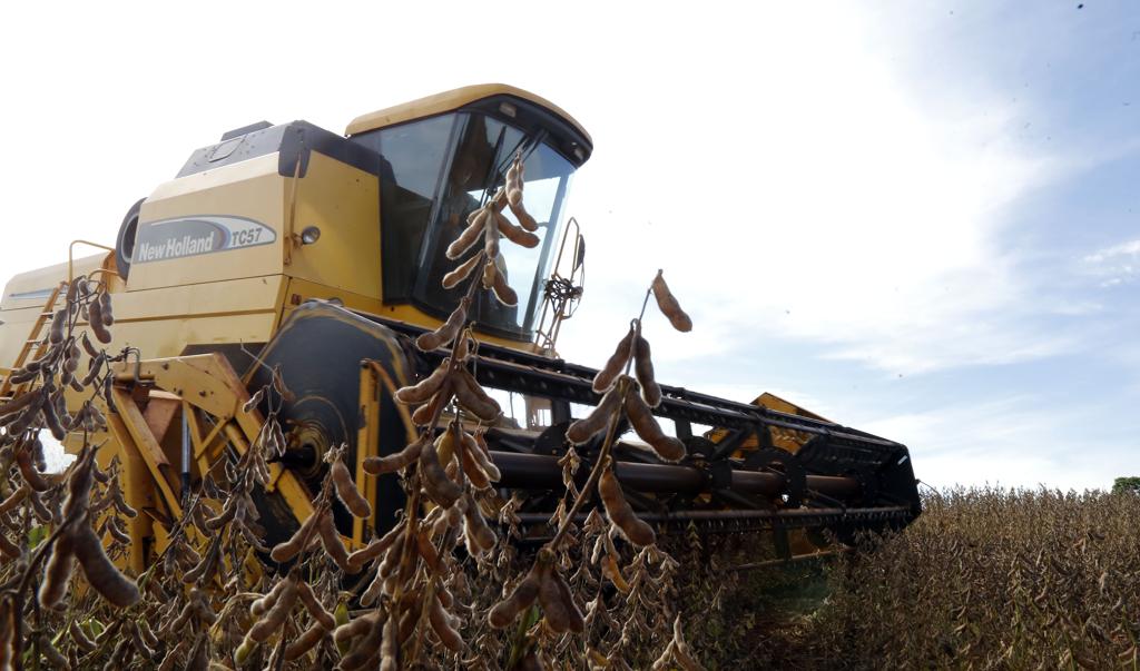 Colheita de soja na região de Maringá: produtividade da soja paranaense é a maior do mundo. Por hectare, o estado colhe, em média, 4% mais que os Estados Unidos e 11% mais que o restante do Brasil. | Pedro Serapio/Gazeta do Povo