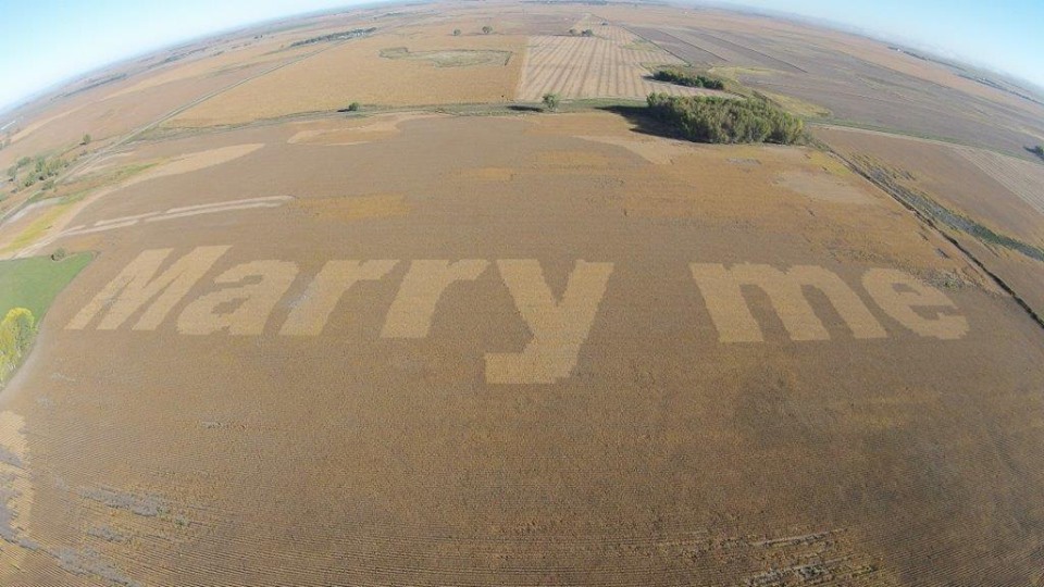 Produtor usou duas variedades diferentes para criar contraste na lavoura e poder pedir a noiva em casamento no meio da plantação. | Reprodução/Precision Planting