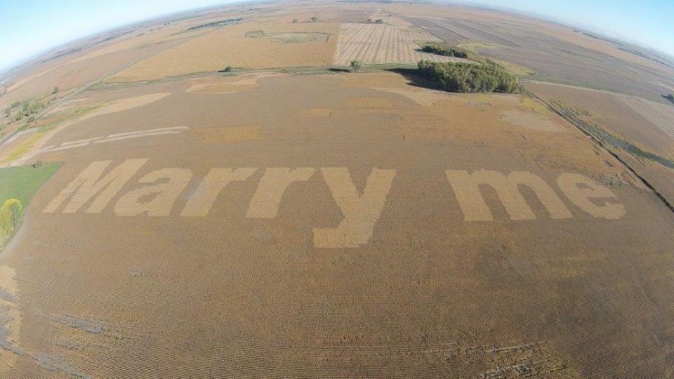 Produtor usou duas variedades diferentes para criar contraste na lavoura e poder pedir a noiva em casamento no meio da plantação. | Reprodução/Precision Planting
