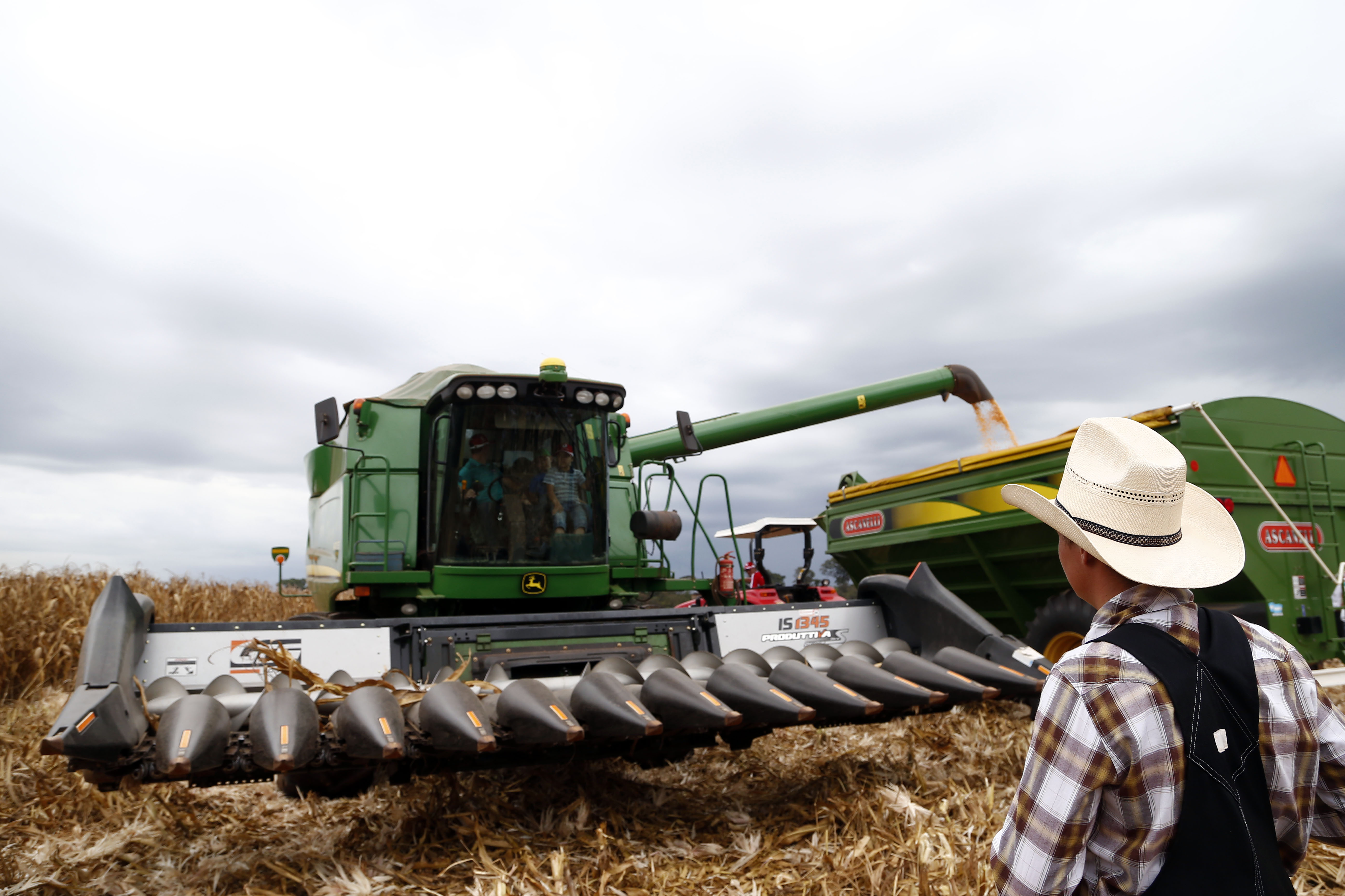 | Albari Rosa/Gazeta do Povo