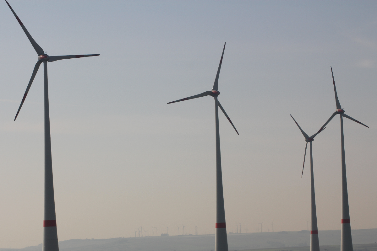 | Alexandre Costa NascimentoAlexandre Costa Nascimento