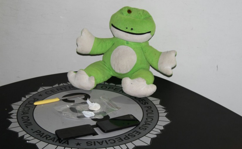 Porção de crack estava escondida dentro de sapo de pelúcia | Gerson Klaina/Gerson Klaina