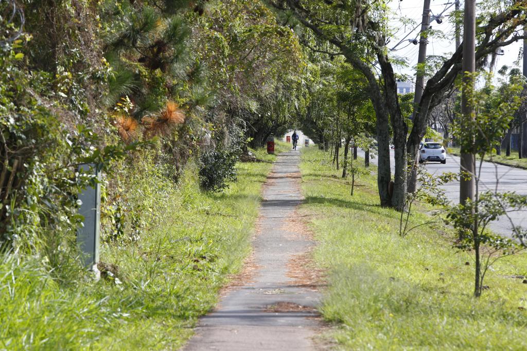 Na foto, trecho de ciclovia na Rua Aluizio Finzetto | Aniele Nascimento/Gazeta do Povo
