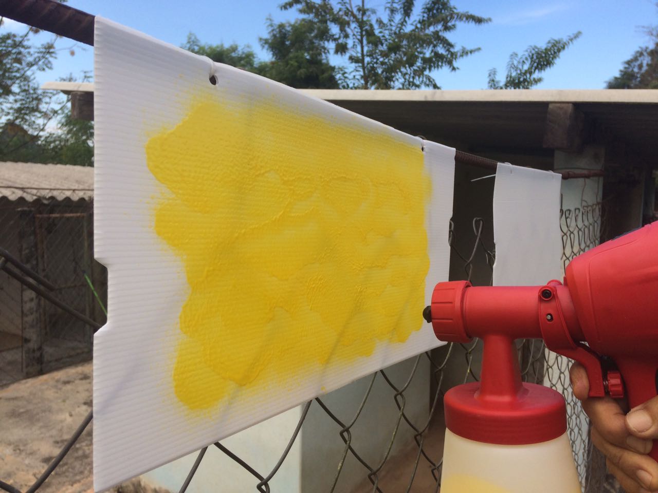 Yellow Glue: cola amarela de insetos é solução para atrair “malfeitores alados” | Divulgação/Colly