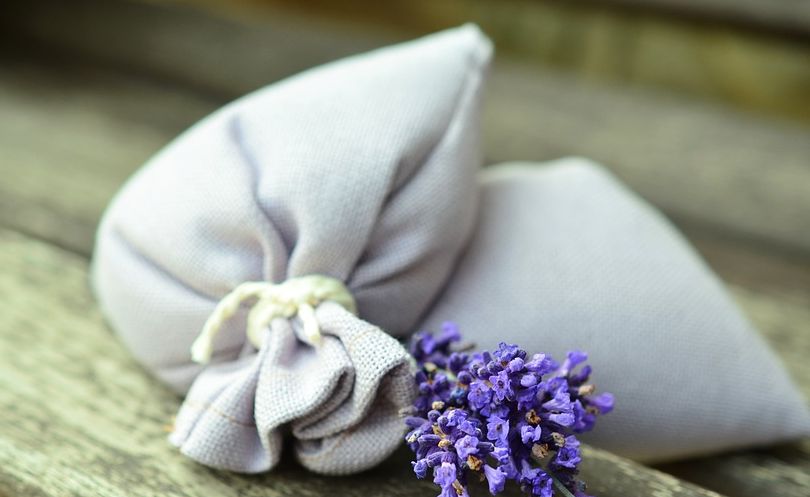 | Pixabay/Divulgação