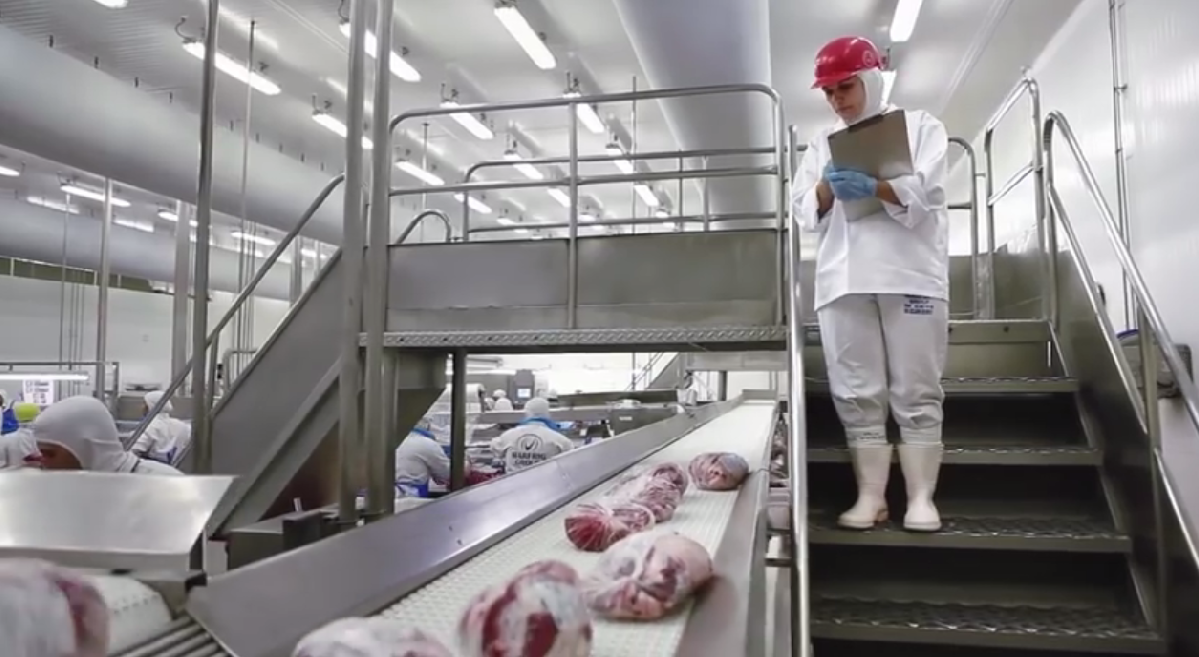 Gigantes do ramo da carne começam o ano enfrentando desafios. Marfrig anunciou queda de 16% na receita líquida | Marfrig/Divulgação