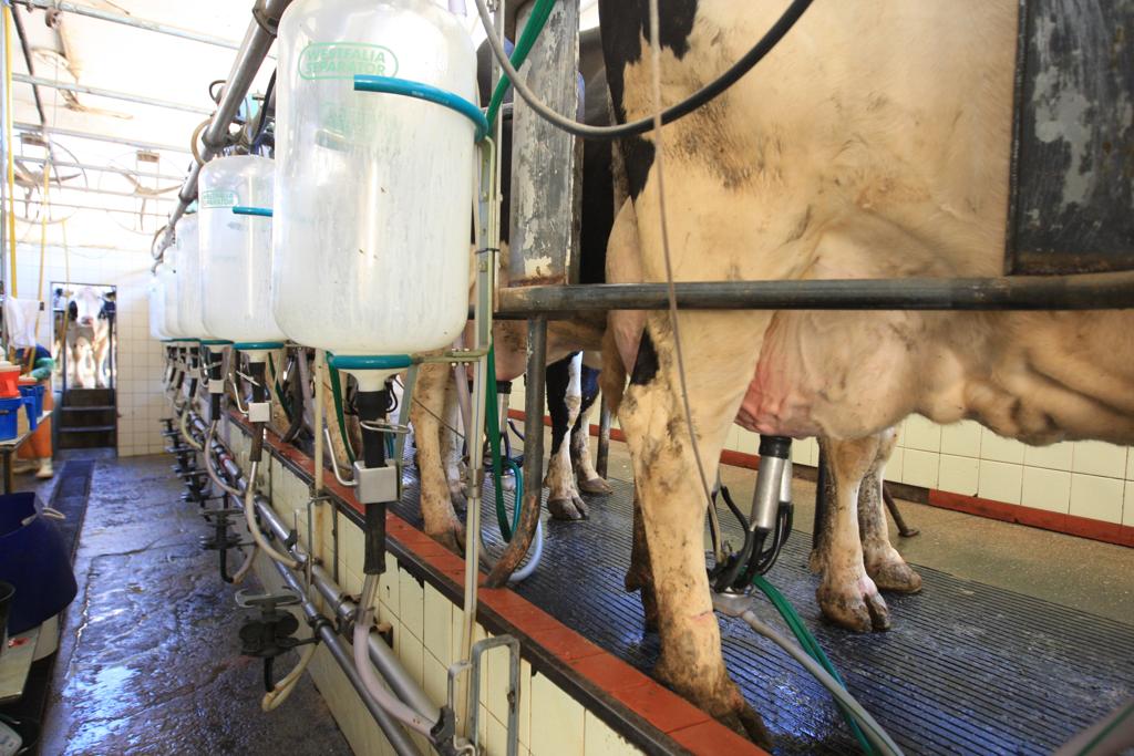 As fraudes, comprovadas pela Justiça, segundo o corregedor, comprovariam o desvio de conduta de Motta por meio da troca de amostras de produtos alimentícios (leite e derivados) alvos fiscalização em laticínios gaúchos. | Ivonaldo Alexandre/Gazeta do Povo