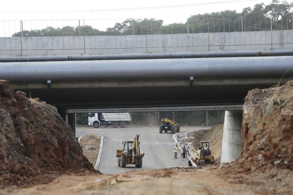  | Felipe Rosa/TRIBUNA DO PARANA