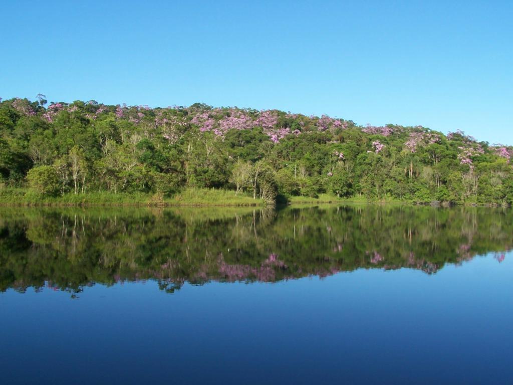 Parque Estadual Intervales, no Sudoeste de São Paulo: local abriga parte do maior território de mata atlântica do país. | Antonio Costa/Gazeta do Povo