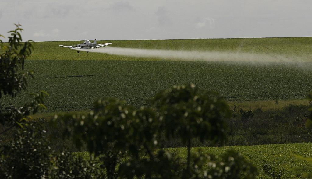 A soja transgênica, resistente ao defensivo agrícola Glifosato,  é uma das biotecnologias mais difundidas e usadas no mundo. | Jonathan Campos/ Gazeta do Povo