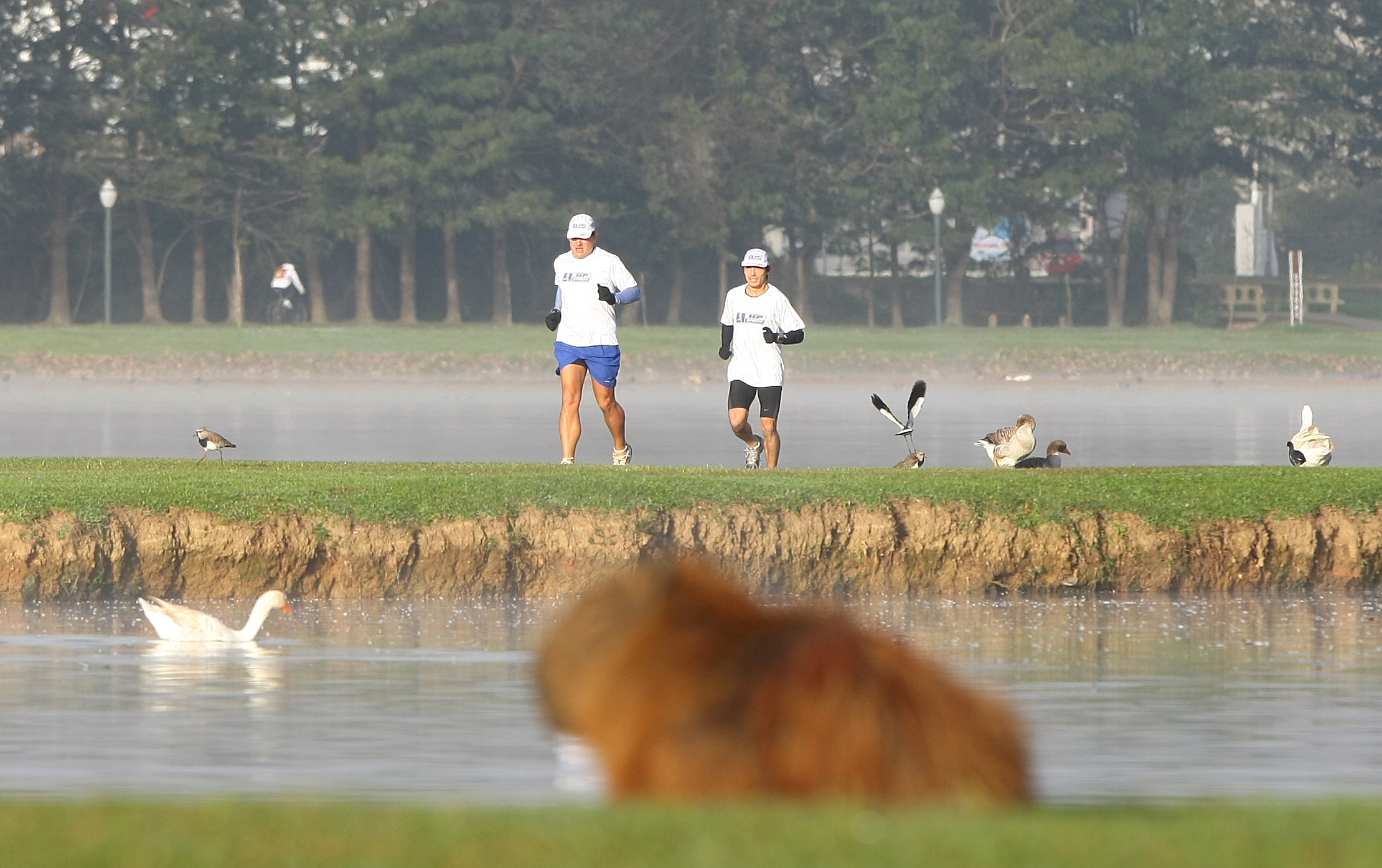  | Jonathan Campos/Gazeta do Povo