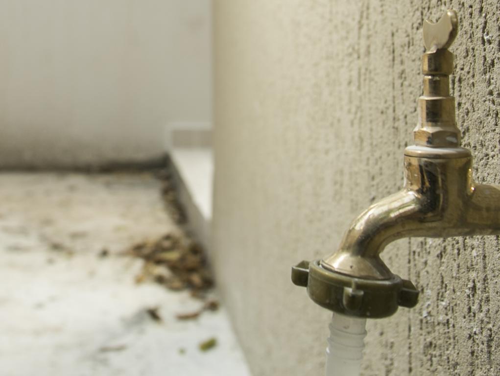 | Marcelo Andrade/Gazeta do Povo