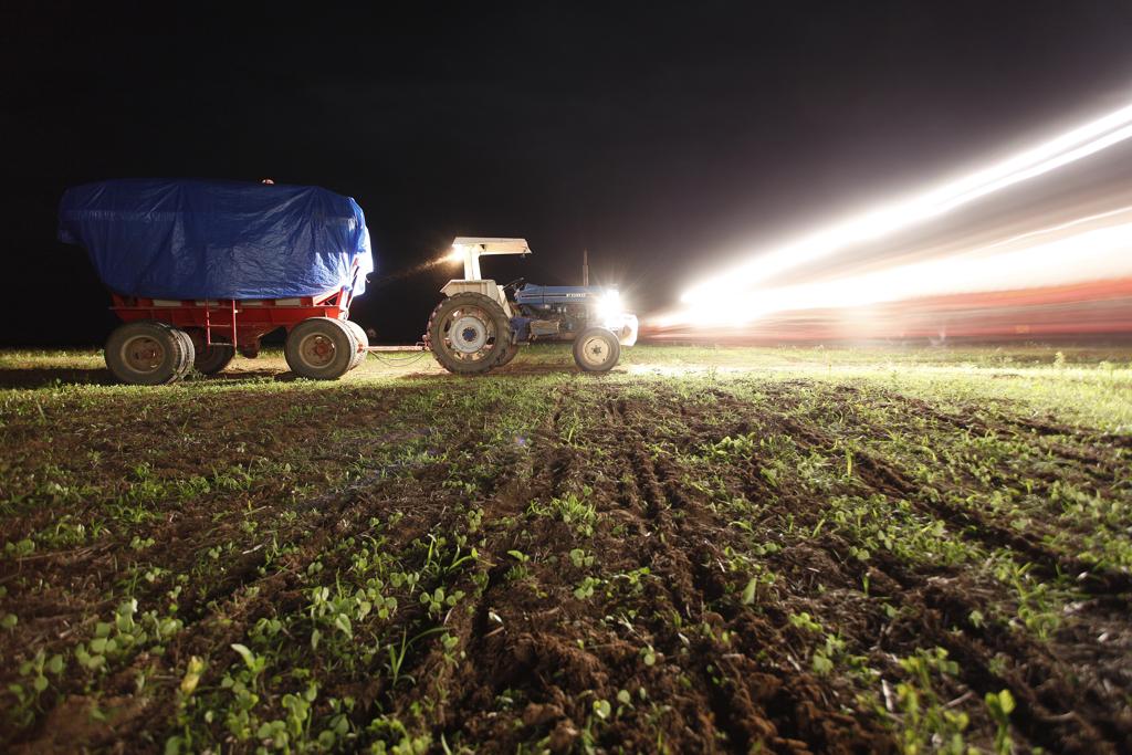 Plantação de feijão noturno: farol de alerta está aceso e pode haver desabastecimento do feijão tipo carioquinha | JONATHAN CAMPOS/JONATHAN CAMPOS