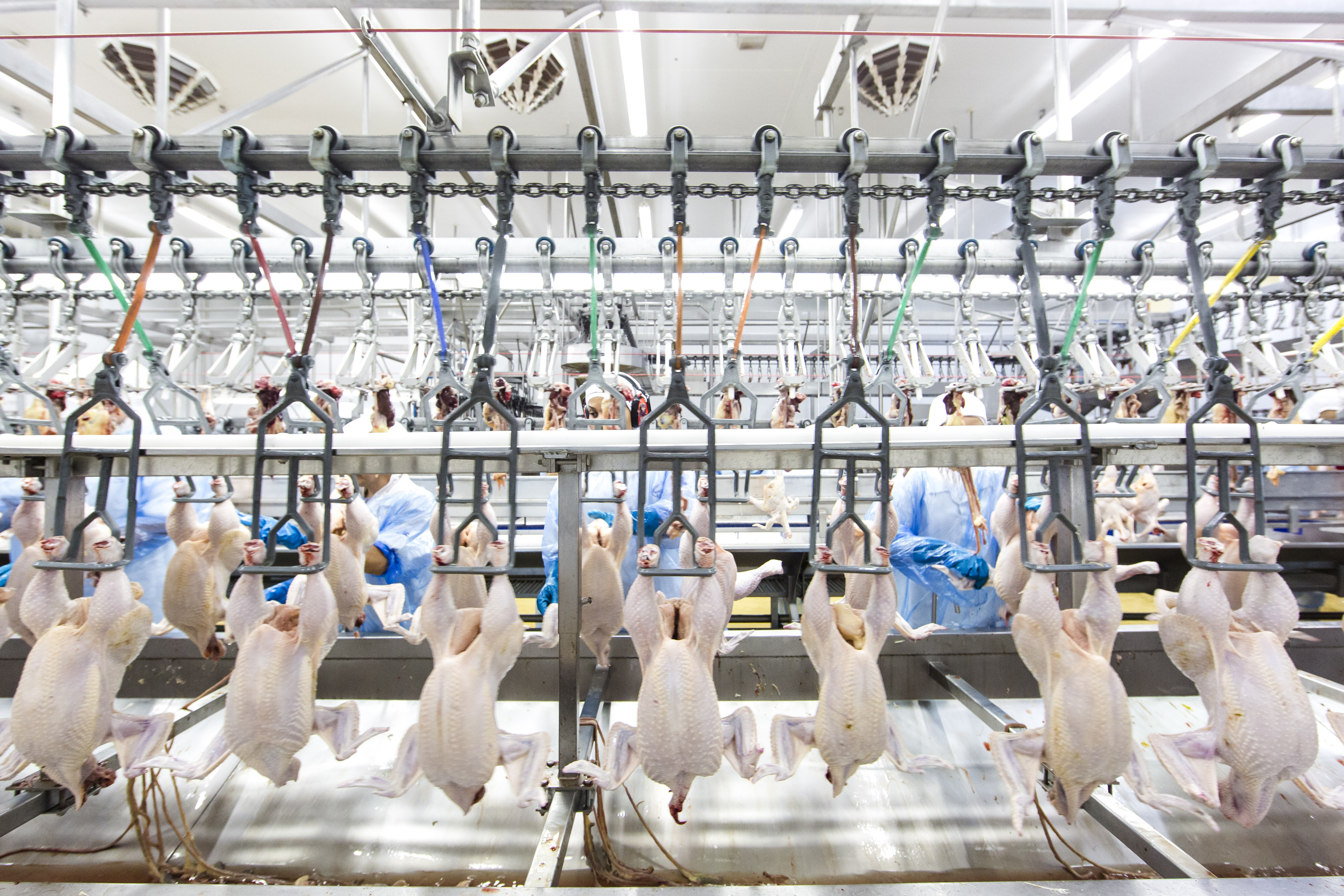 | Lineu Filho/Lineu Filho/Gazeta do Povo